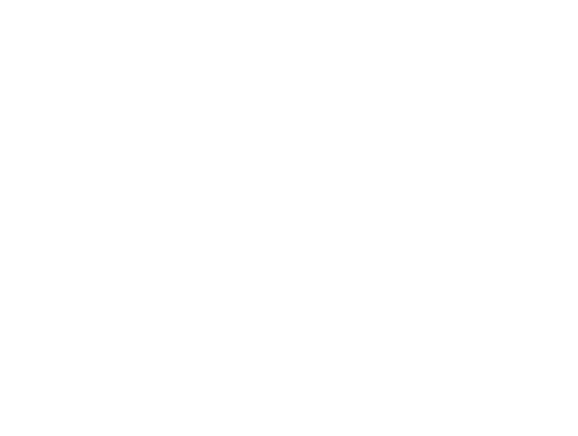 SOLIDO